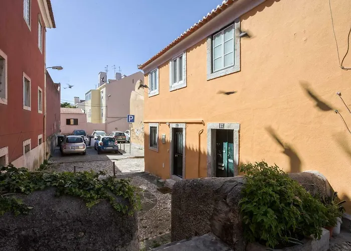 Appartement Typical And Brand New T.m. Flat *