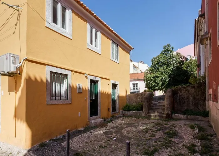 Apartment Typical And Brand New T.m. Flat *