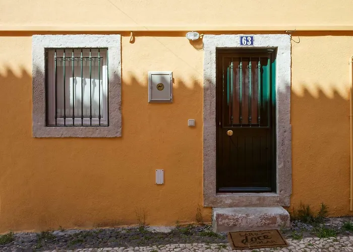 Apartment Typical And Brand New T.m. Flat *